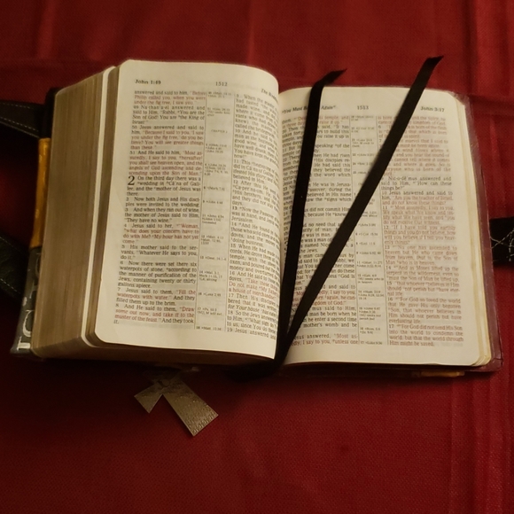Bible cover/carrier - Picture 3 of 4
